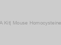 HCY ELISA Kit| Mouse Homocysteine ELISA Kit